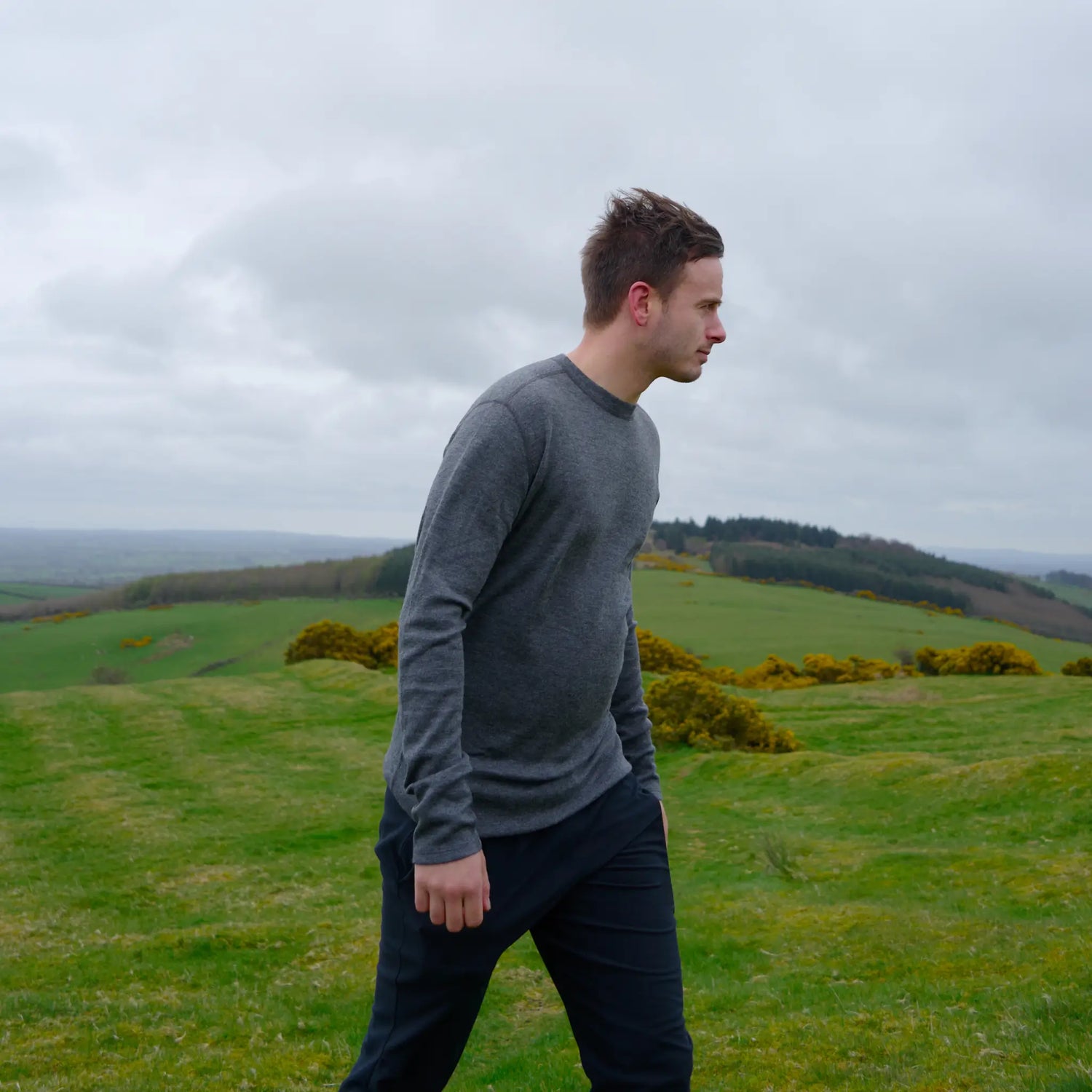 Imagen del metafield