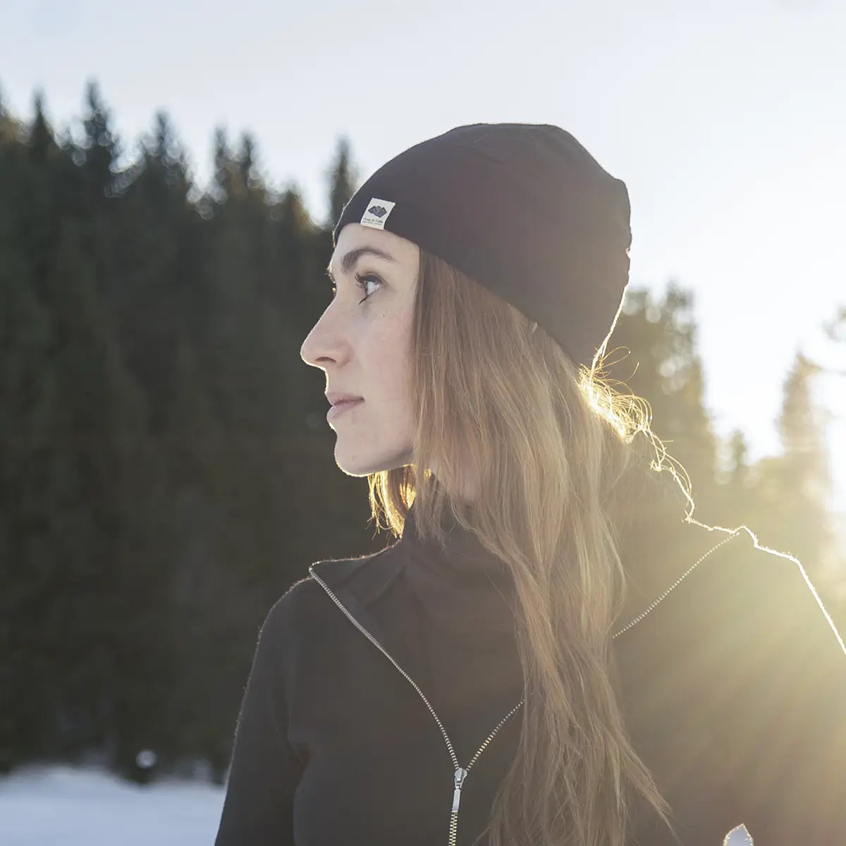 Imagen del metafield